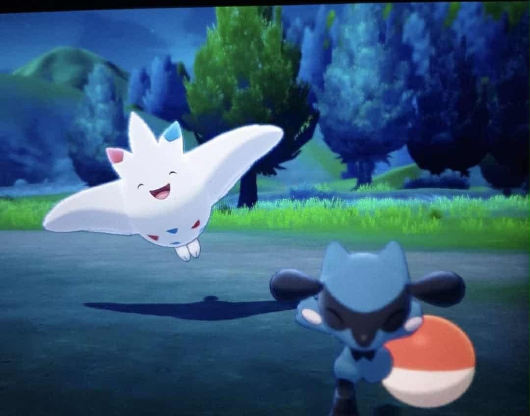 Confessions of a Lifelong Pokémon Fan